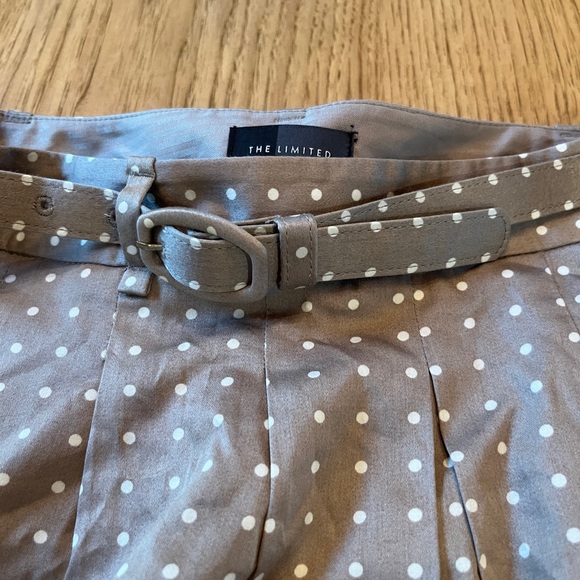 The Limited Taupe And White Polka Dot Mini Skirt Size 6 - Picture 3 of 6